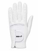 The Send — White Glove